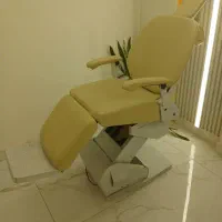 صندلی برقی و ترولی