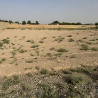 زمین باغ باغچه ویلا دامداری صنعتی گلخانه|فروش زمین و ملک کلنگی|ورامین, |دیوار