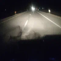 راننده میخوام پایه دو