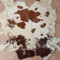 پادری