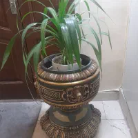 گلدان کنارسالنی|گل و گیاه طبیعی|تهران, صادقیه|دیوار