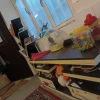 عروس هلندی
