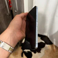 iphone 13Promax 256G|موبایل|تبریز, |دیوار