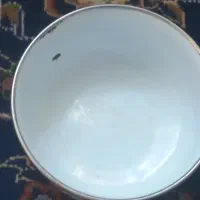 دو عدد پرونده