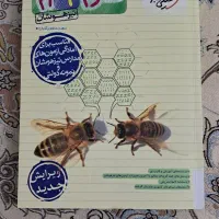 کتاب عربی تیزهوشان نهم (رشادت )|کتاب و مجله آموزشی|تهران, جنت‌آباد مرکزی|دیوار