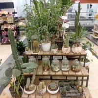 فروش استند چوب و فلز