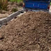 کود حیوانی