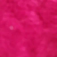 موکت پالاز