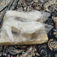 کفش مجلسی نوو