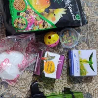 غذا و لوازم پرنده