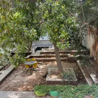 سهروردی شمالی.آپادانا(۴۲۰متر کلنگی) تک مالک