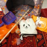 وسایل گربه