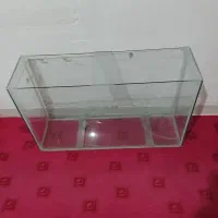 آکواریوم|ماهی|خرم‌آباد, |دیوار