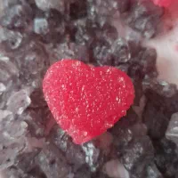 فروش انواع نبات دمنوشی مناسب کافی شاپ ها|خوردنی و آشامیدنی|تهران, بهار|دیوار