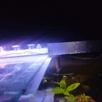 آکواریوم دو متری