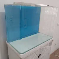اکواریوم ماهی ۶۰ سانتی شیشه خم