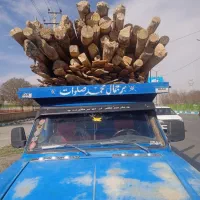 چوب ریزی در باغ