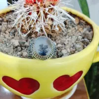 شجر تک درخت