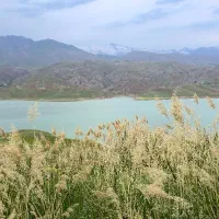 فروش-انواع-ویلا-و-زمین-های-مناسب-جهت-سرمایه-گذاری