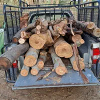 رامشیر.|خدمات باغبانی و درختکاری|رامشیر, |دیوار