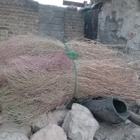 جارو|لوازم نظافت|خرم‌آباد, |دیوار