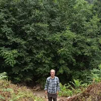 خدمات باغبانی و درختکاری