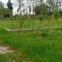 زمین شهرکی،۲۲۷متری، سرمایه گذاری با قابلیت ساخت