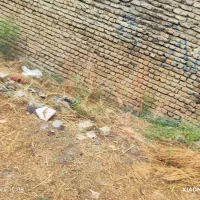 زمین حاشیه ۶متری