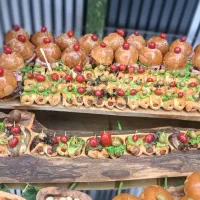 انواع فینگر فود|خدمات پذیرایی، مراسم|فردیس, شهرک ارم|دیوار