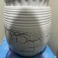 گلدون و پایه|گل و گیاه طبیعی|کرج, گوهردشت|دیوار