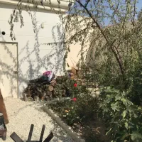 200-متر-باغچه-داخل-بافت