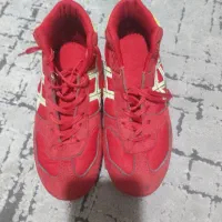 کفش و دوبنده کشتی