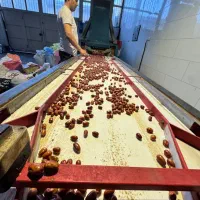 نیازمند کارگر