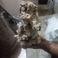 لوازم اکواریوم