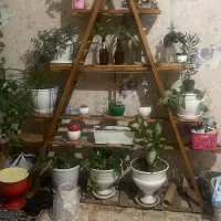قفسه چوبی|کتابخانه، شلف، قفسه‌های دیواری|کرج, شهرک جهان‌نما|دیوار