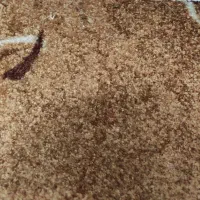 موکت پالاز در حد نو