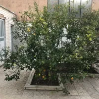 اجاره-انبار