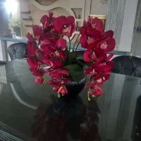 گل ارکیده|گل مصنوعی|تهران, آهنگ|دیوار