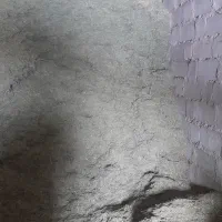 علوفه یا گیاه دام|لوازم جانبی حیوانات|کرفتو, |دیوار