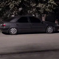 زانتیا نوک مدادی