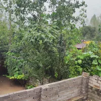 سوئیت اجاره ای تلکا