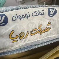 تشک نوجوان رویا