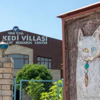 خروج مستقیم به تمامی شهرهای ترکیه همه روزه