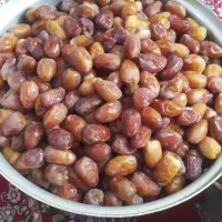 رطب کبکاب شیشه ای محمد صالحی