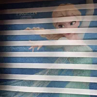 یک عدد پرده زبرا سالم قیمت یک تومان