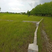 زمین ۳۰۰ متری طرح هادی/ کوچصفهان رشت /آینده‌دار