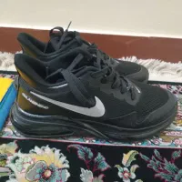 کفش|کیف، کفش، کمربند|اهواز, سپیدار|دیوار