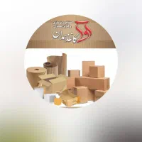 کارگر ساده کارتنسازی