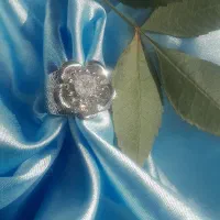 انگشتر و گوشواره|بدلیجات|کرج, فاز ۴ مهرشهر|دیوار