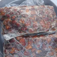خرمای برحی بسته بندی شده